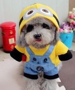 Minion Dog Costume Clothes + Hat