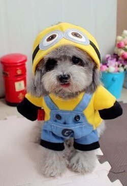 Minion Costume (Clothes + Hat)