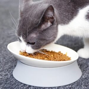 Moon-Shaped Cat Bowl 15.8×6 cm