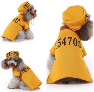 Numbered Prisoner Costume MQ-SDZ95
