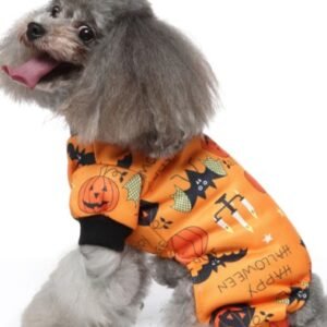 Orange Candle Halloween Dog Costume
