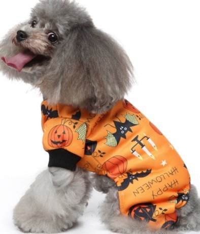 producto para mascotas naranja