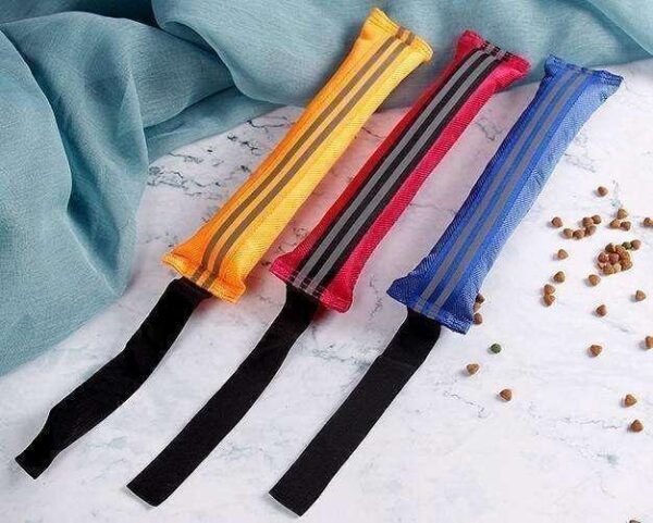Oxford Cloth Three-Point Dart