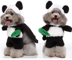 Panda Standing Dog Costume Hat + Cape