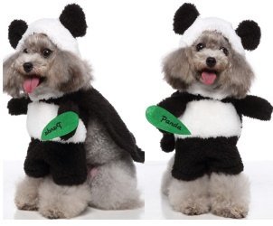 Panda Standing Costume (Hat + Cape + Clothes 3-Piece Set)