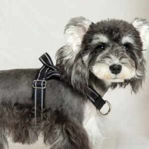 arnés para perros H-Style