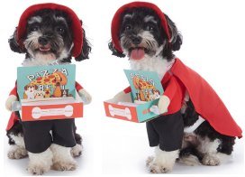 Pizza Delivery Guy Dog Costume