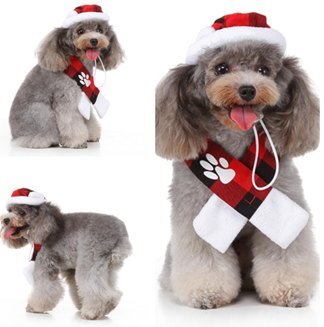 Plaid Hat Dog Scarf Set MQ