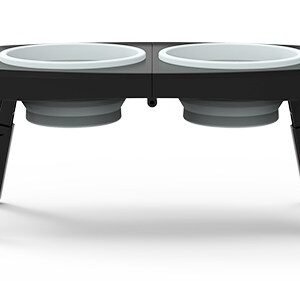 Portable Folding Table With Dual Bowls