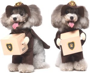 Costume (Hat+Cloak+Outfit+Box 4-Piece Set)