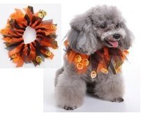 collar Pumpkin para perros