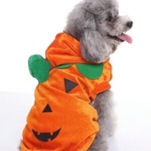 disfraz Pumpkin para perros