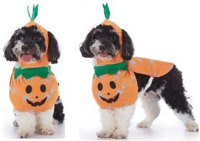 Pumpkin Costume Set With Hat Cape And Clothes