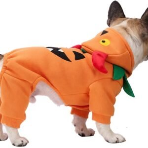 Pumpkin Little Monster Dog Clothes