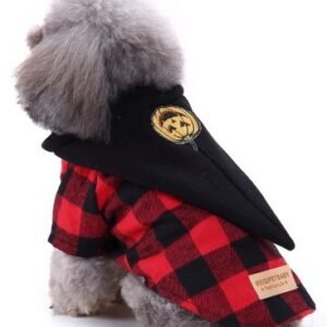 ropa para perros Pumpkin Long Set