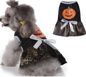 Pumpkin Spiderweb Dog Dress MQ
