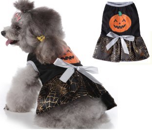 Pumpkin Spiderweb Dog Dress MQ