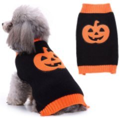 jersey Pumpkin para perros
