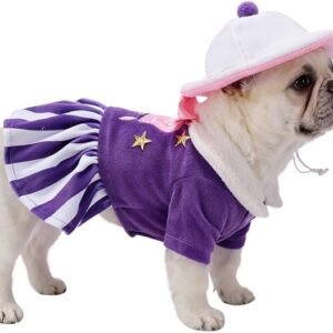 Purple Sweetheart Dog Dress Set With Hat