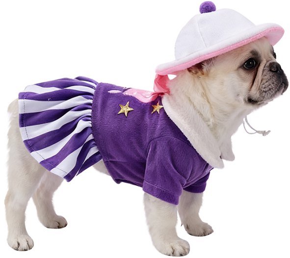 Purple Sweetheart Pet Dress Set With Hat