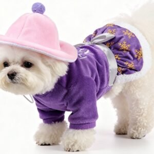 Set (Hat + Dog Dress