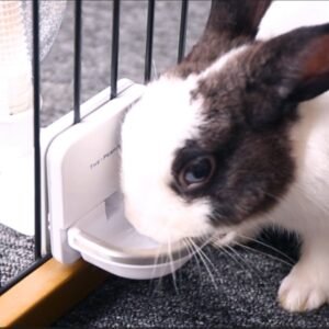 Rabbit Cage Hanging Water Small Pet Feeder