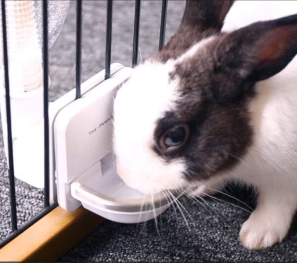 Rabbit Cage Hanging Water Feeder