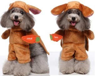 Rabbit Standing Costume (Hat + Cape + Clothes 3-Piece Set)