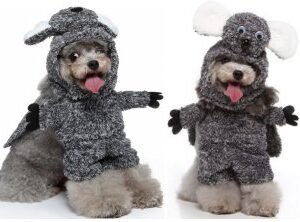 Raccoon Standing Dog Costume Hat + Cape