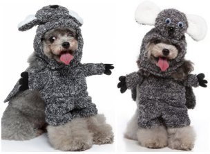 Raccoon Standing Dog Costume Hat + Cape