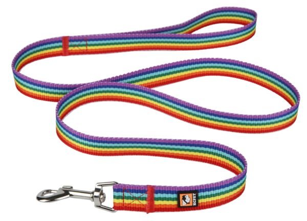 Rainbow Dog Leash