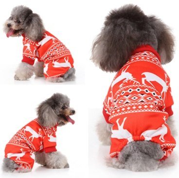 Red Christmas Reindeer Outfit