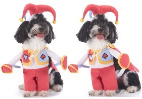 Red Heart Clown Dog Costume Set MQ