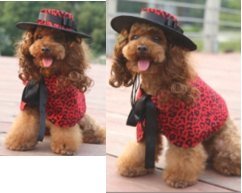 Red Leopard EVA Costume Set (Hat + Wig + Cape)
