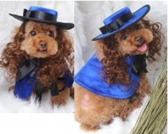 Royal Blue EVA Dog Costume Set (Hat Wig