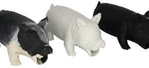 Rubber Dog Pig