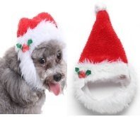 Pet Product