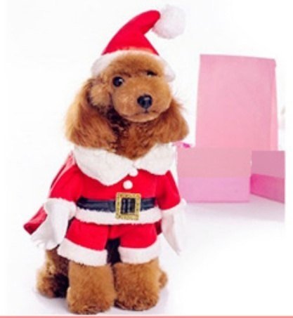 Santa Claus Dog Costume Clothes + Cape