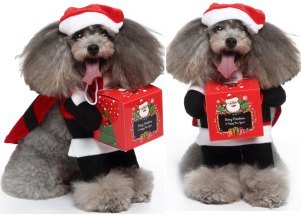 Santa Claus Standing Costume Set (Hat+Cloak+Outfit)