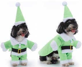 Santa Green Costume Set With Hat And Clothes