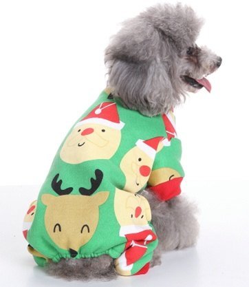 Pet Product