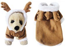 Snorlax Standing Outfit Pet Apparel