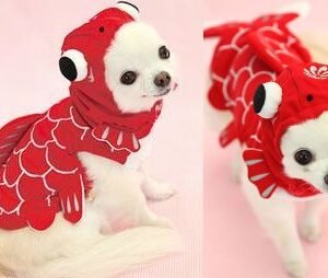ropa para perros Snowflake Cape Blanket