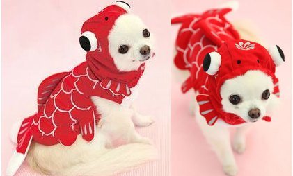 Snowflake Cape Blanket Pet Apparel Red