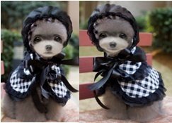 Sofia Princess Set (Hat + Cape)