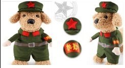 disfraz Soldier para perros Clothes + Hat