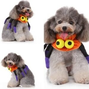 collar Spider para perros
