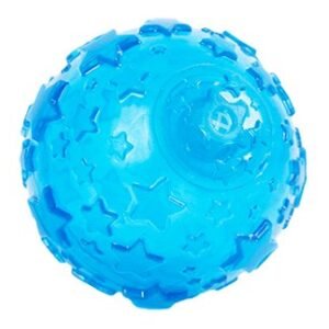Star Pattern Squeaky Round Dog Ball
