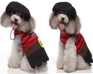 Striped Pirate Dog Costume Set (Hat +