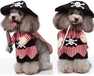 Striped Pirate Standing Dog Costume